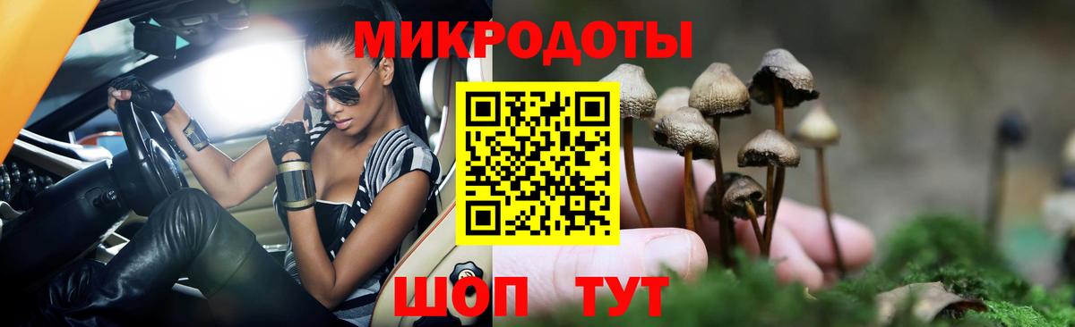 хочу наркоту  Вход с VPN  Псилоцибиновые грибы Magic Shrooms  Калининград  Галлюциногенные грибы мицелий 